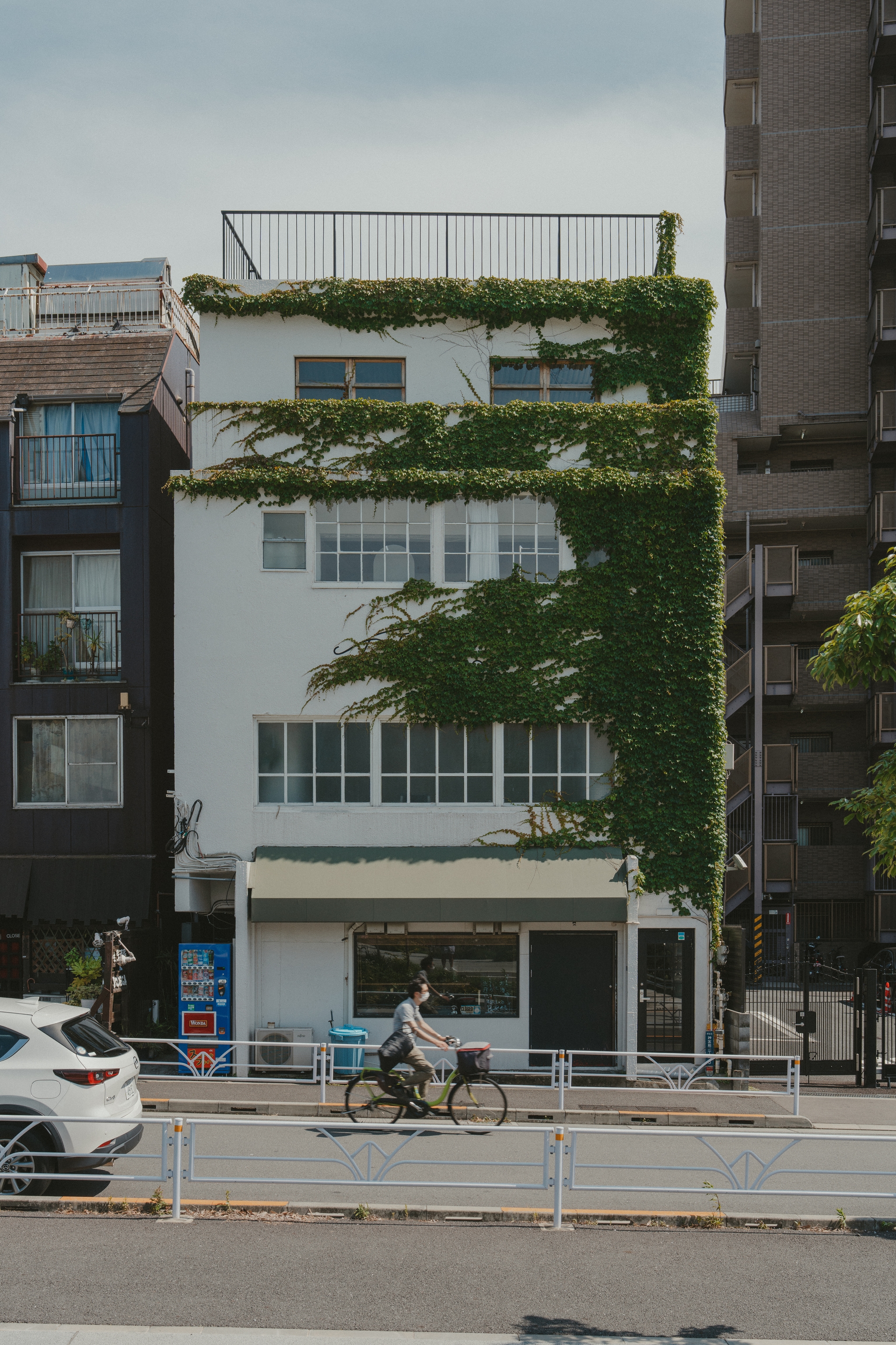 A multi-story building with a facade partially covered in green ivy, located on a street with a cyclist passing by in front