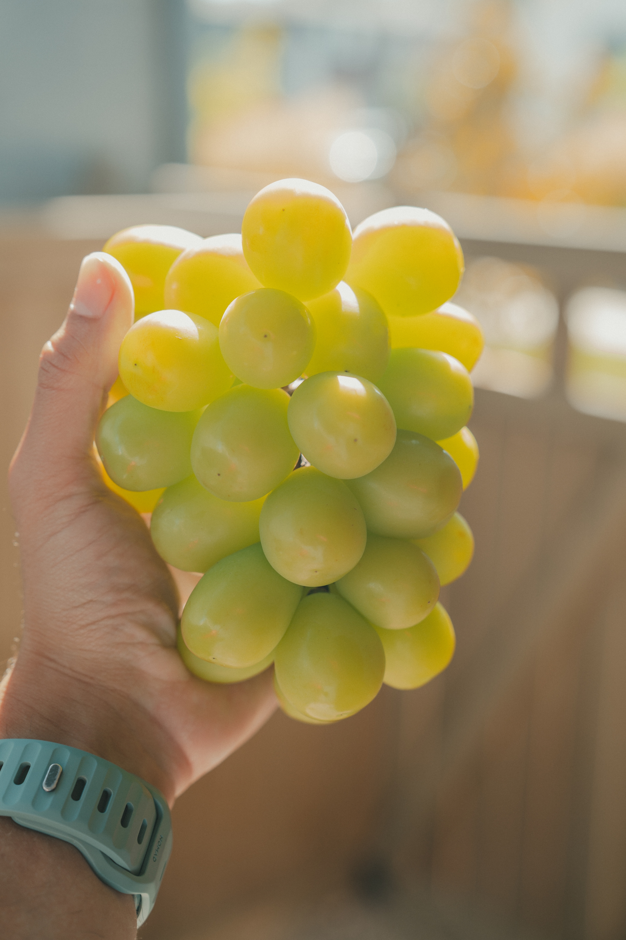 A hand holding a bunch of green grapes, with a blurred background and a wristwatch visible