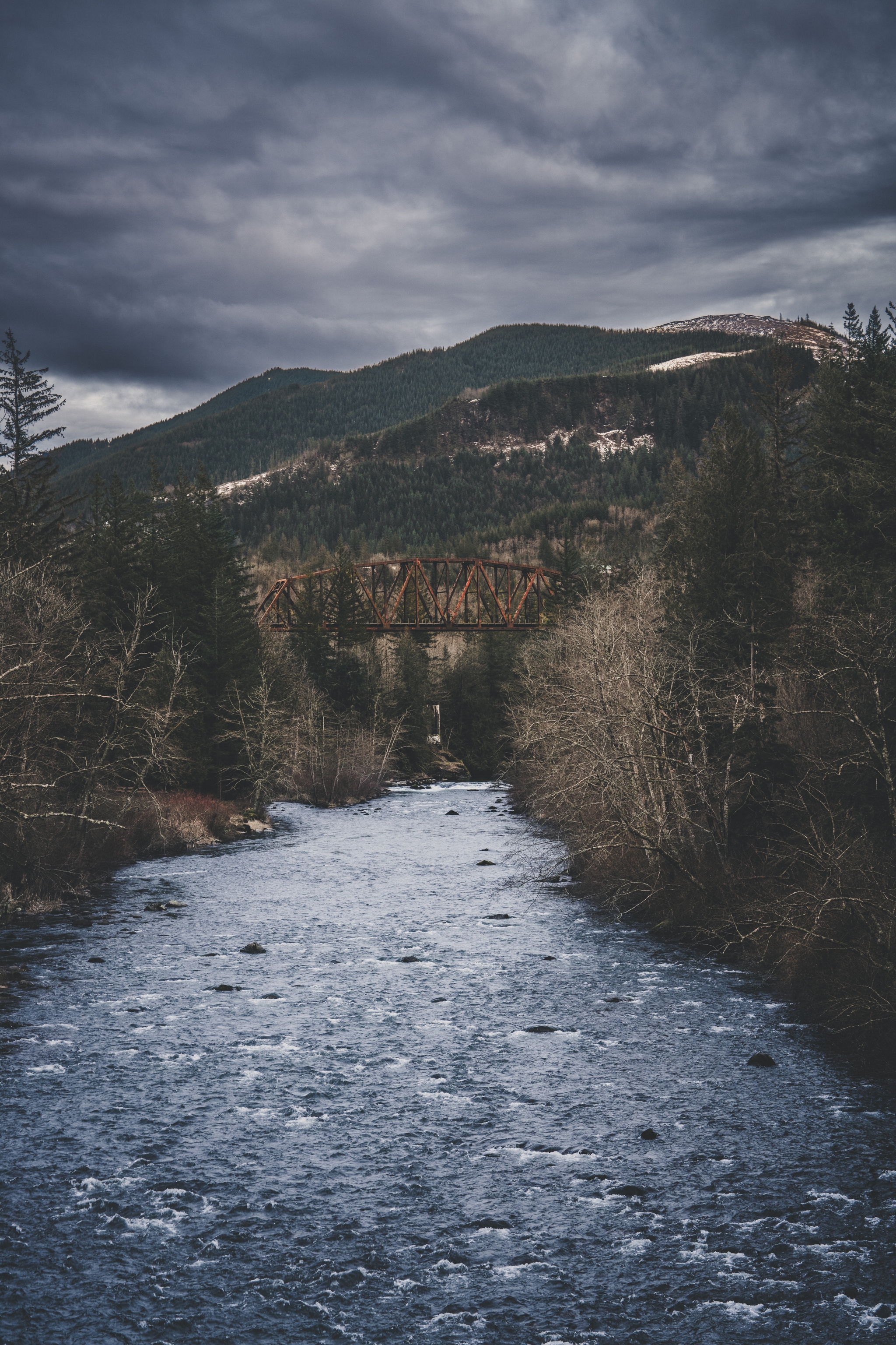 A river flows through a forested landscape with mountains in the background under a cloudy sky