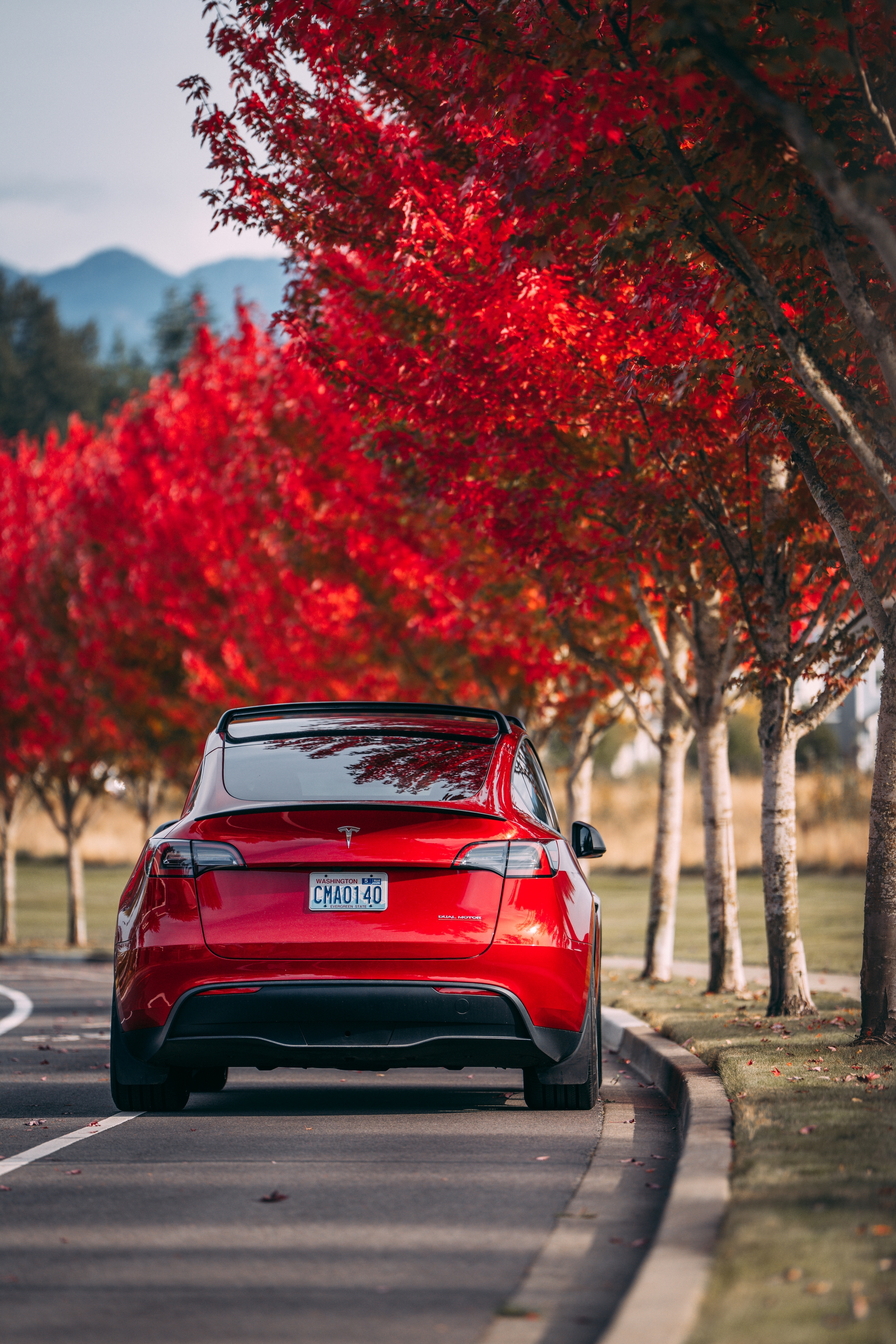 Red Tesla on tree-lined road