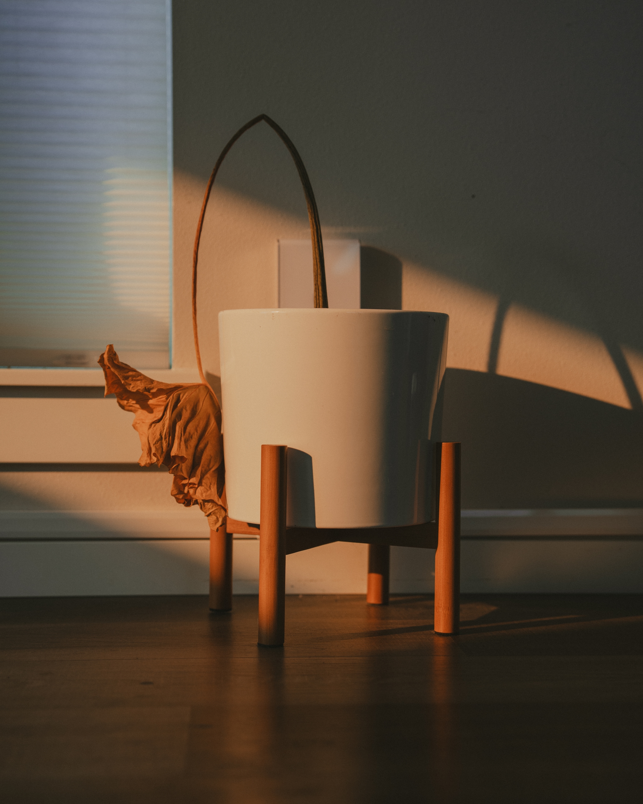 A minimalistic indoor scene featuring a white cylindrical pot on a wooden stand, with sunlight casting shadows A piece of fabric drapes over the side, and background blinds diffuse the light