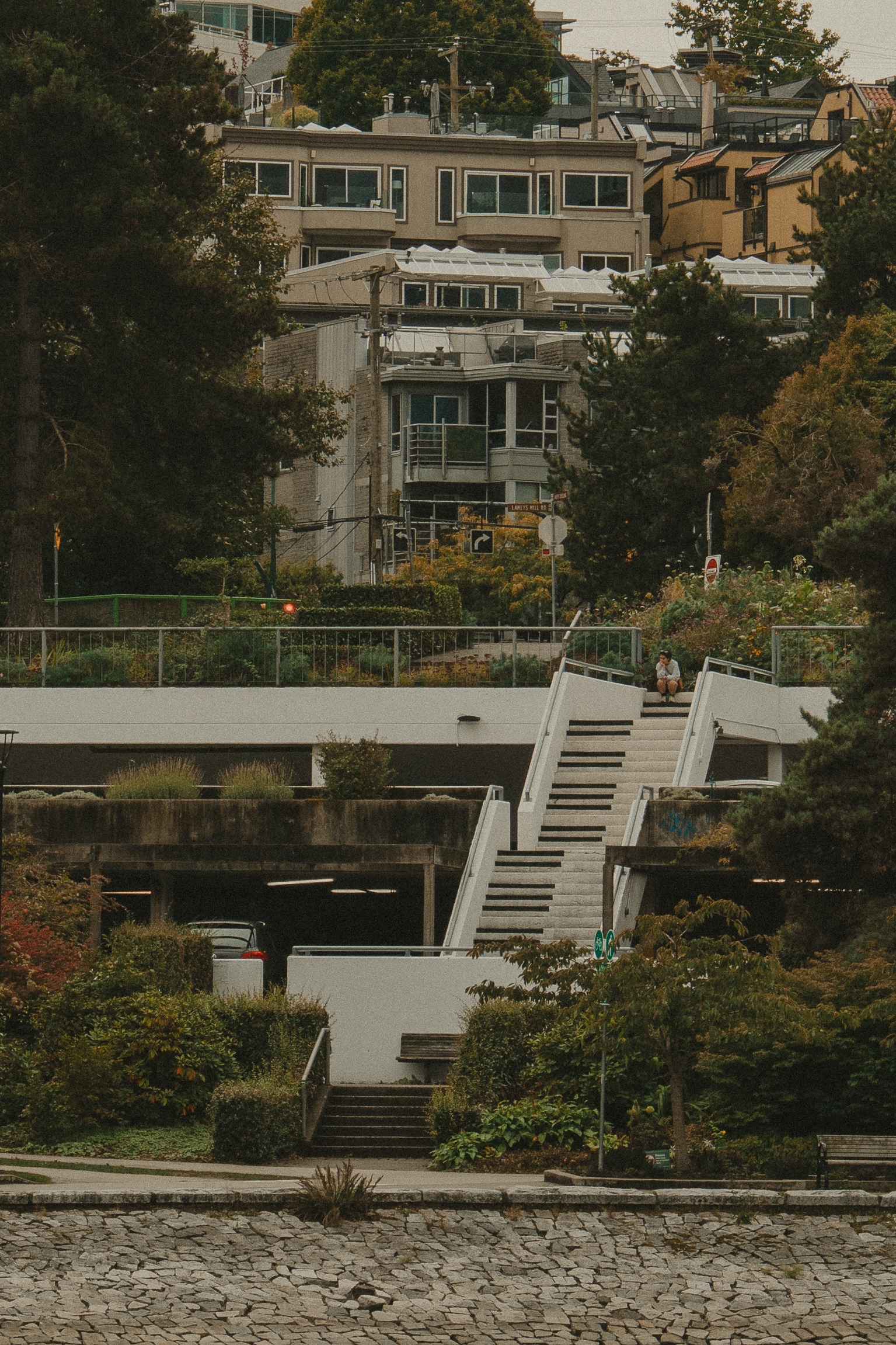 A residential area with multi-story houses surrounded by trees, a stairway leading up from a waterfront, and vegetation lining the path