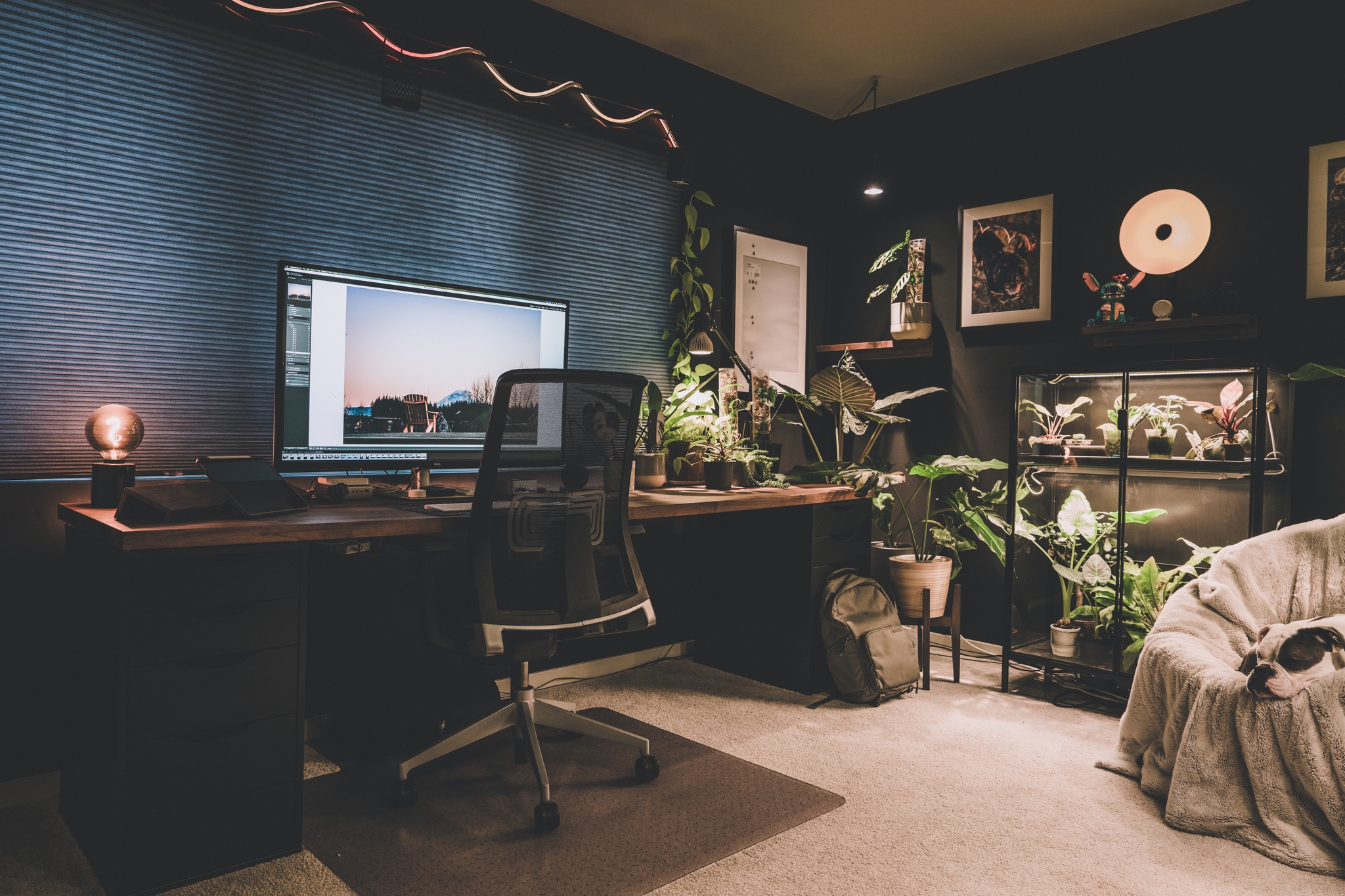 A cozy home office with a large desk, computer, ergonomic chair, and various plants The room has dark walls, soft lighting, and decorative elements like framed pictures and a doughnut light