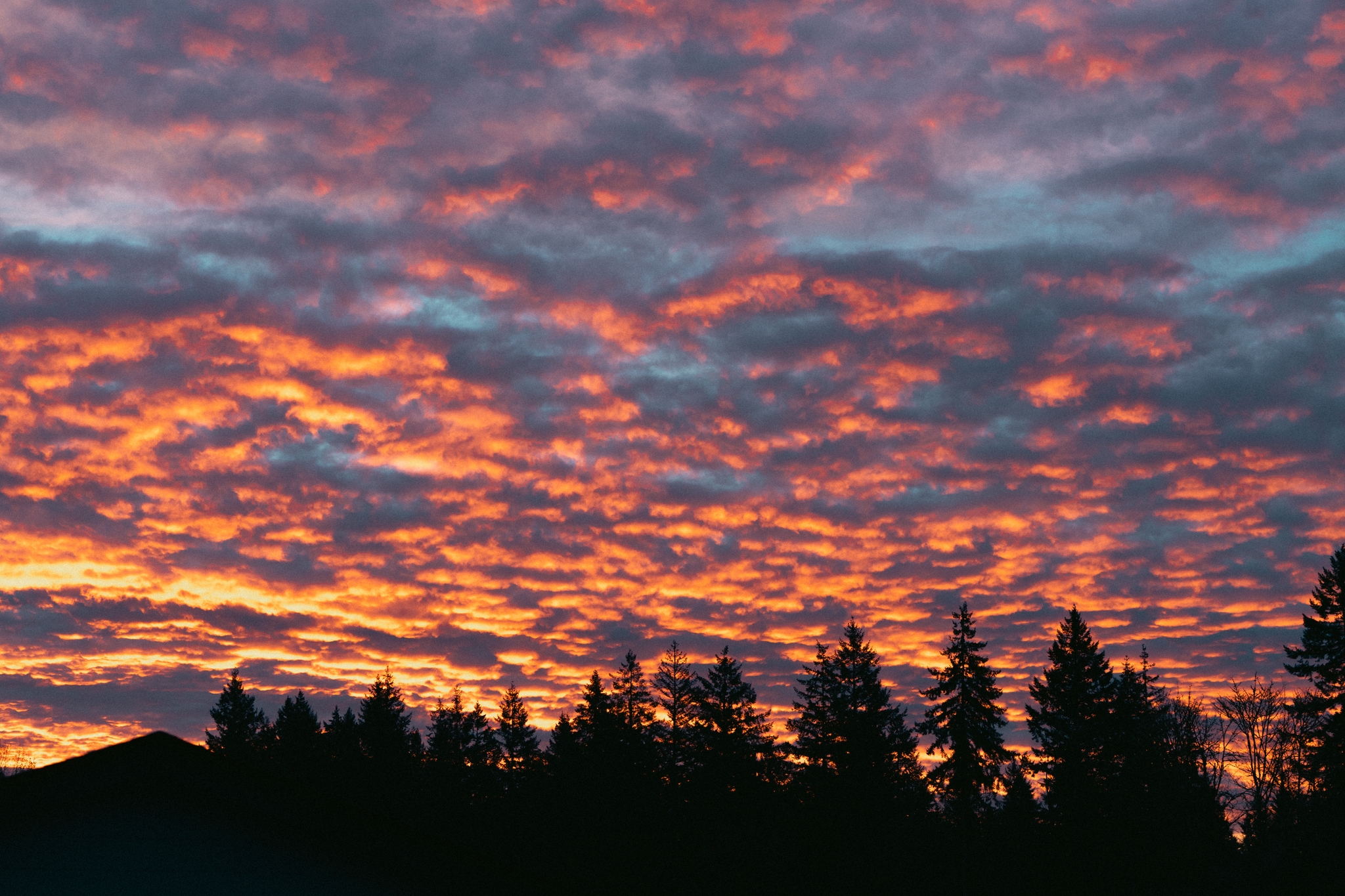 A vibrant sunrise with dramatic clouds silhouetting trees and a mountain