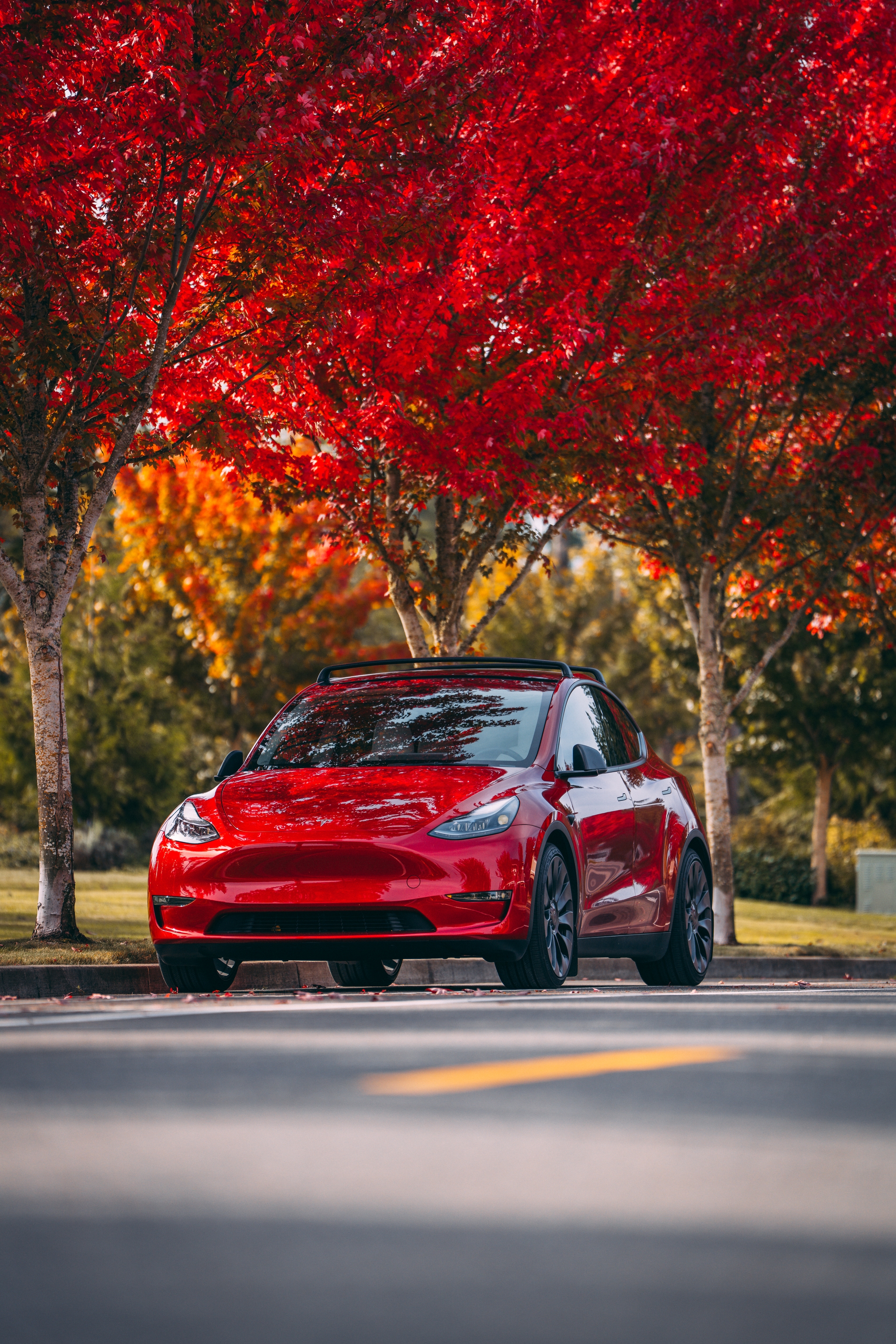 Red car parked under red autumn trees on a sunny day