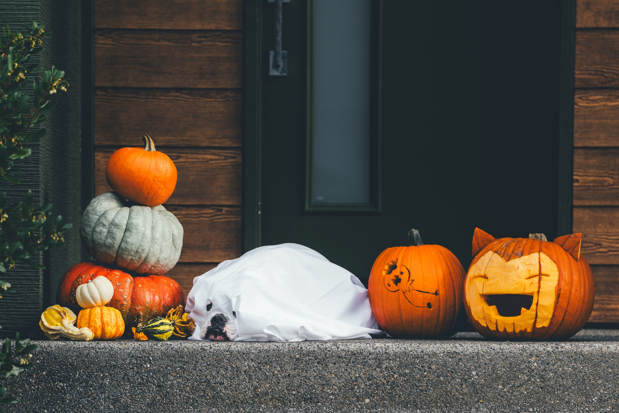 A stack of pumpkins, a ghost-shaped white sheet, and two carved pumpkins resembling a cat and a ghost on a doorstep