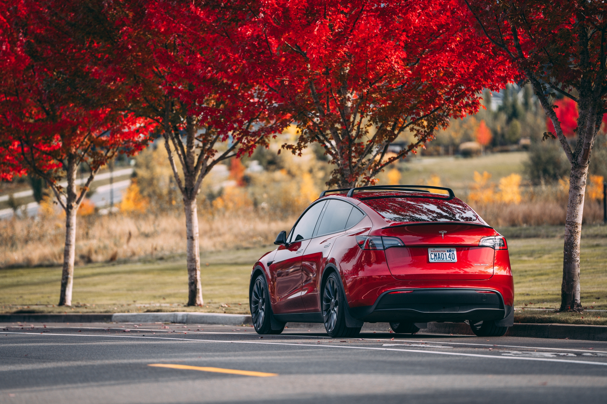 Red car parked beneath autumnal trees with vivid red leaves lining a road