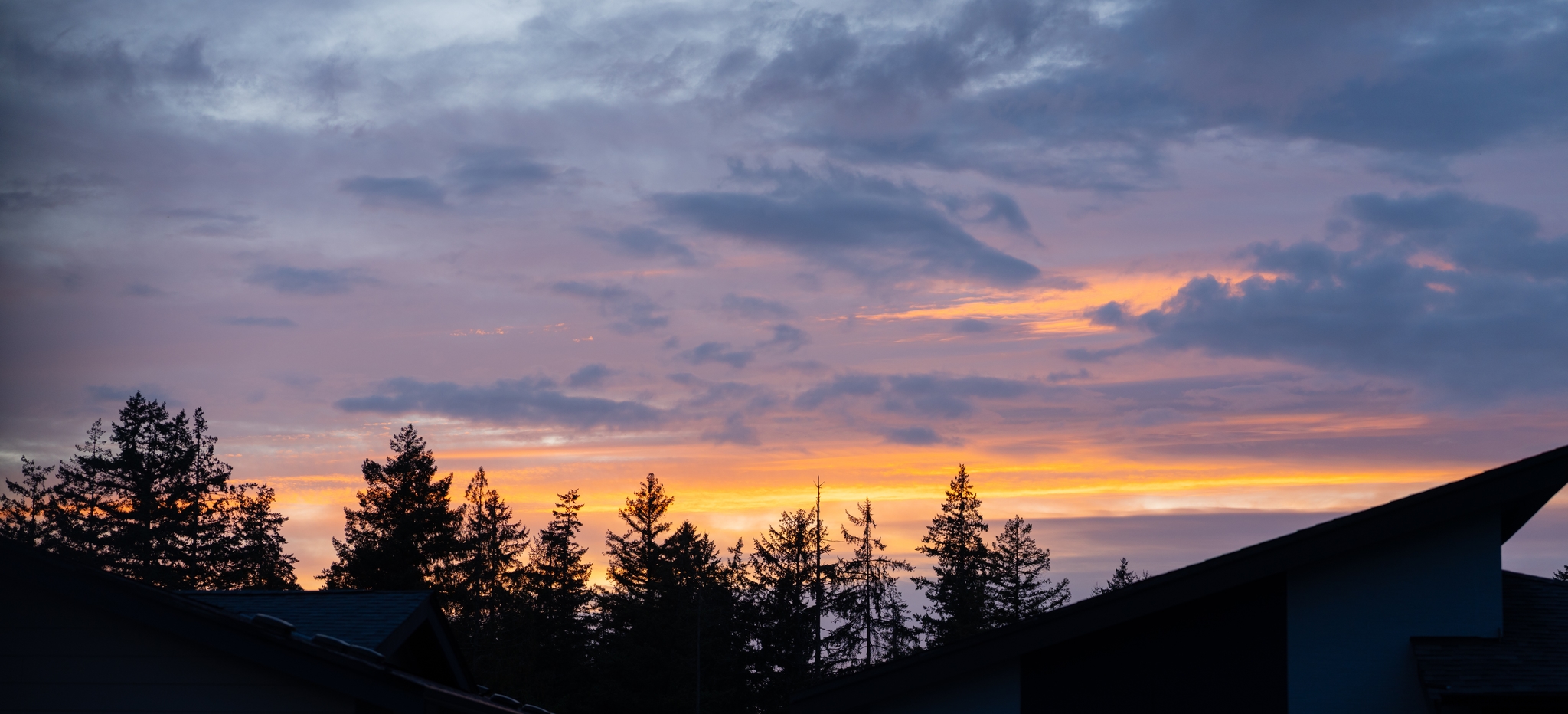 Silhouetted trees and rooflines against a vibrant sunset with colorful clouds