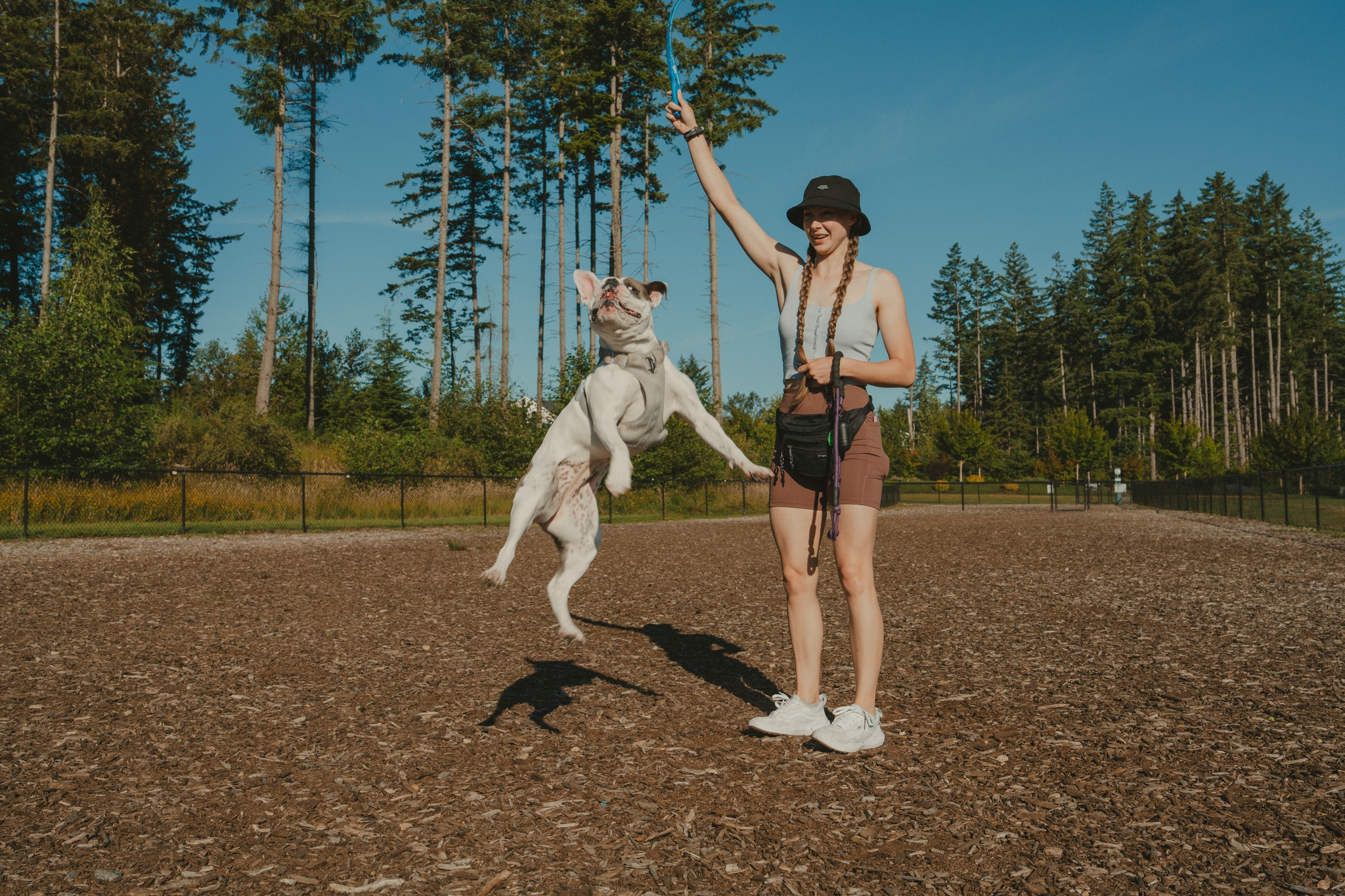 A person in a hat and shorts is playing with a jumping dog in a park, surrounded by trees and a clear blue sky