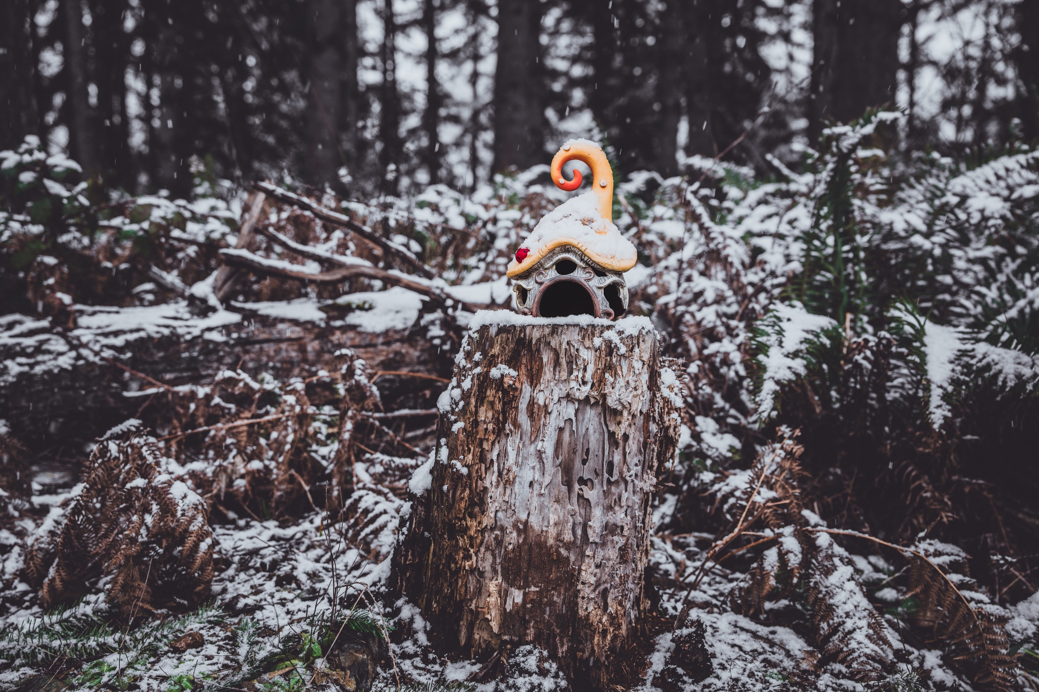 A whimsical, small house with a spiral roof sits atop a tree stump in a snowy forest setting