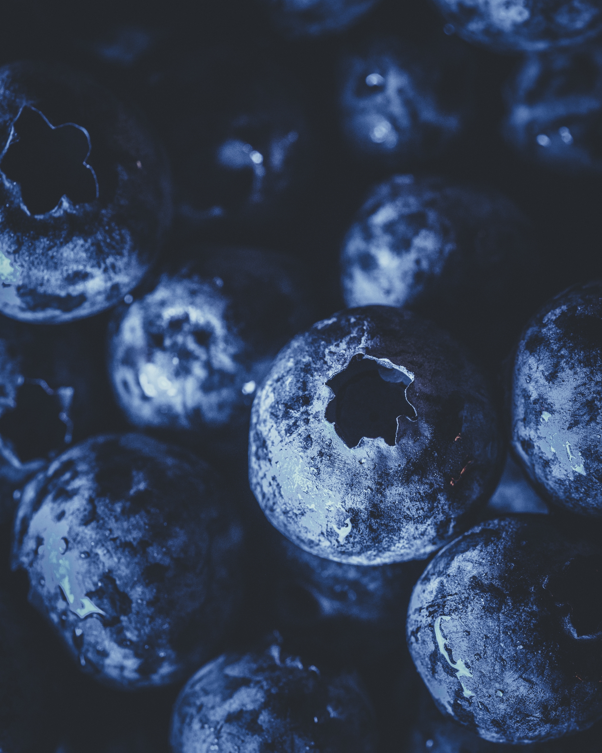 Close-up of ripe blueberries with a textured surface and deep blue hues
