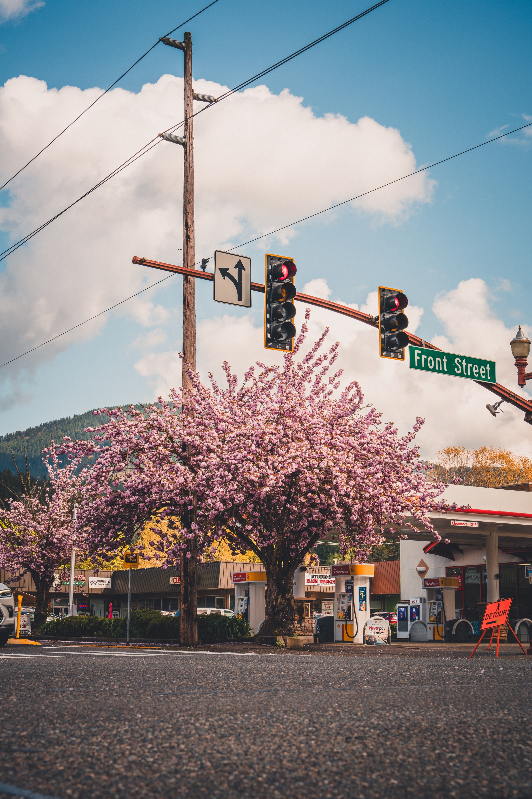 A street scene with a cherry blossom tree in full bloom near a traffic light and a sign for Front Street A gas station and mountains are visible in the background under a partly cloudy sky