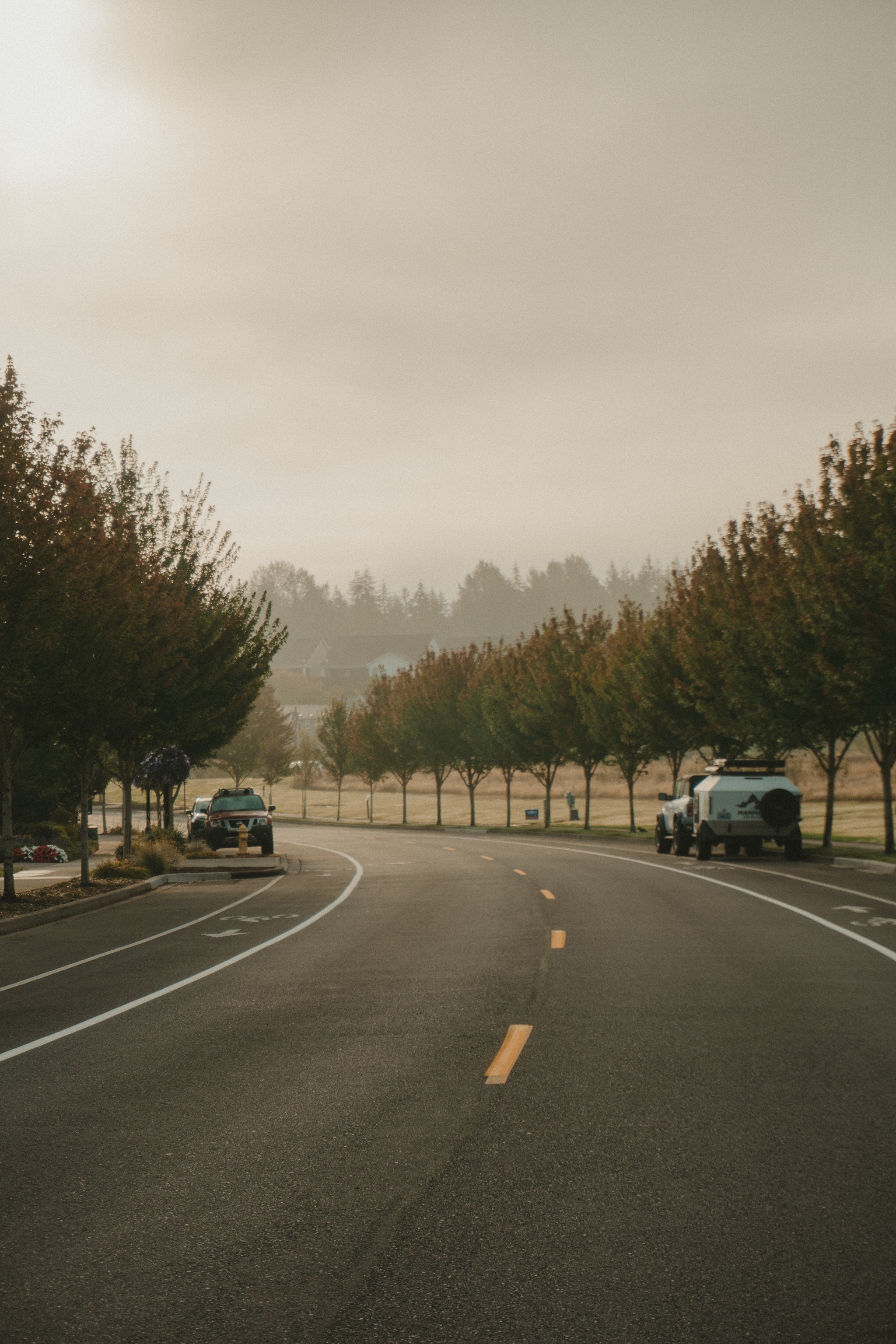 A curving road lined with trees under an overcast sky, with parked cars on the side