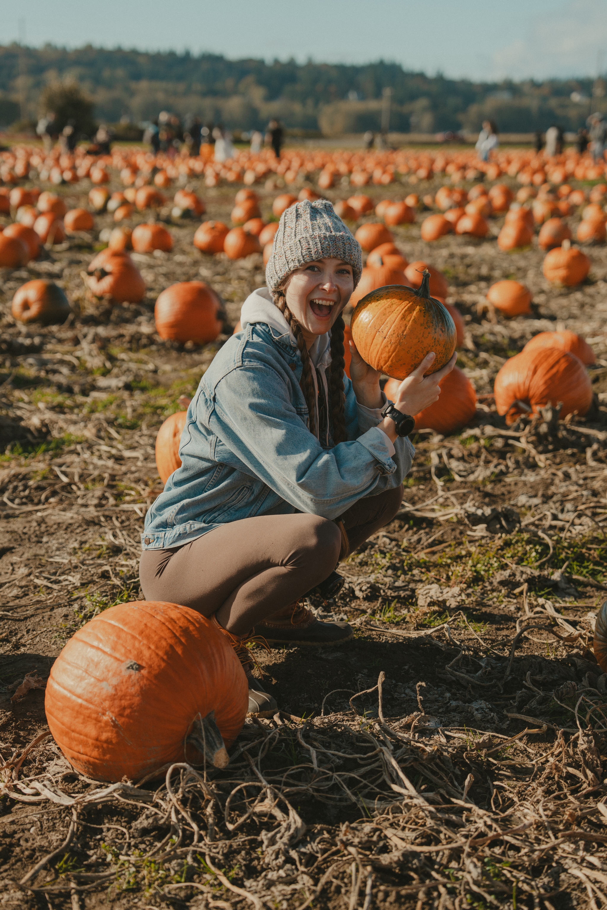 Person crouching in a pumpkin field, smiling and holding a pumpkin, surrounded by more pumpkins under a clear sky