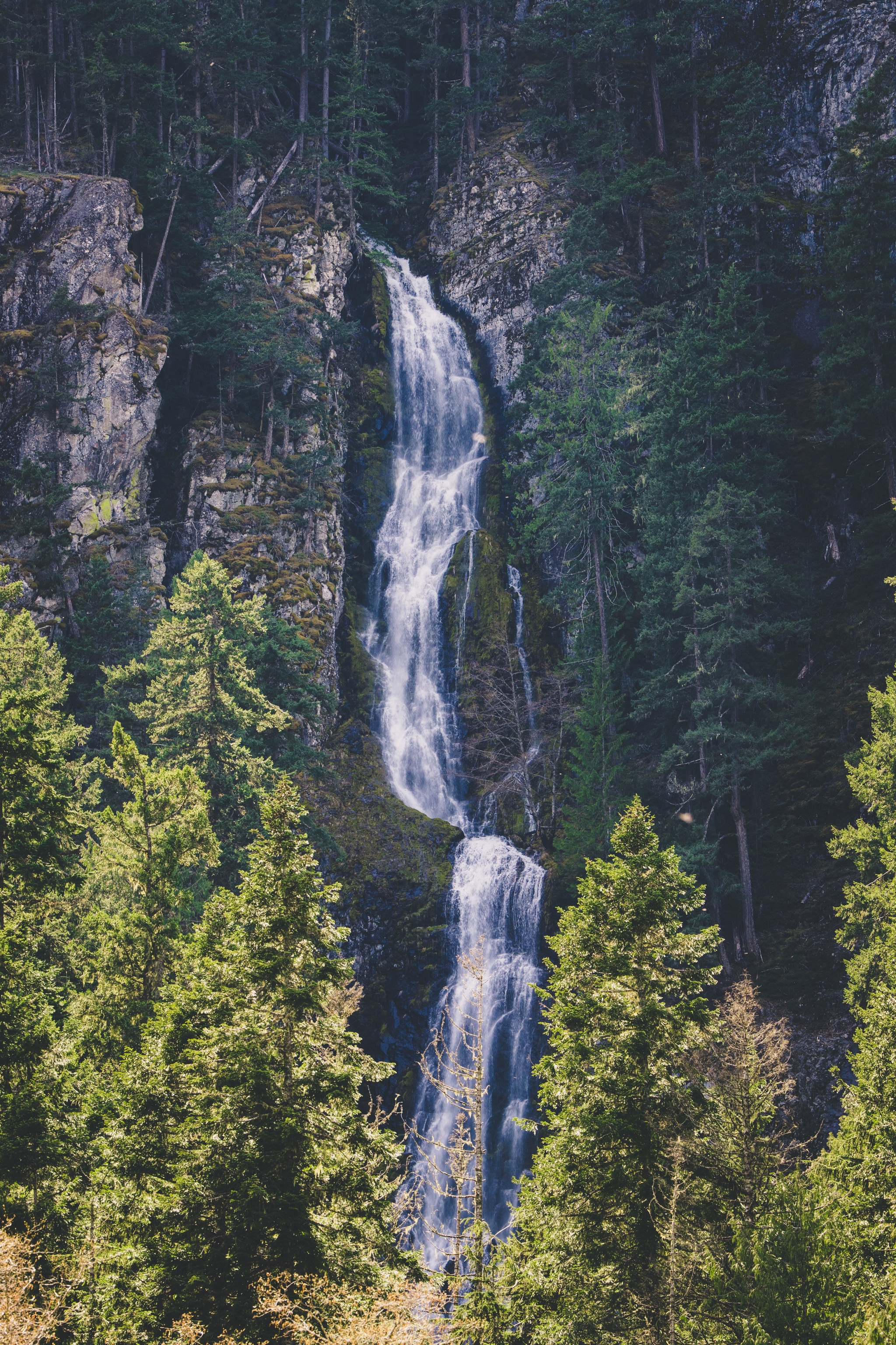 A tall waterfall cascading down a rocky cliff surrounded by dense green forest