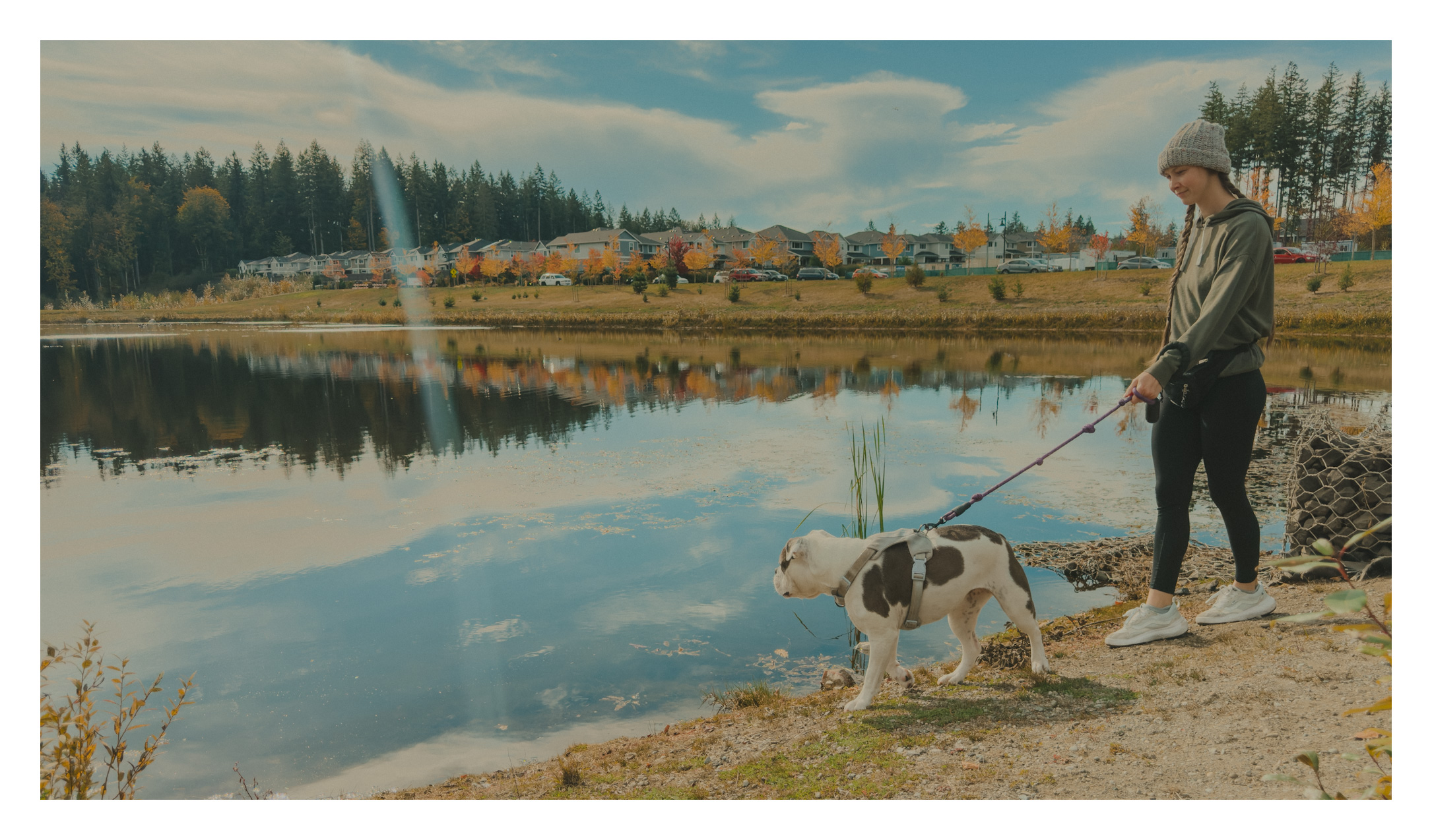 Person walking a dog by a tranquil lake with reflections and pine trees in the background