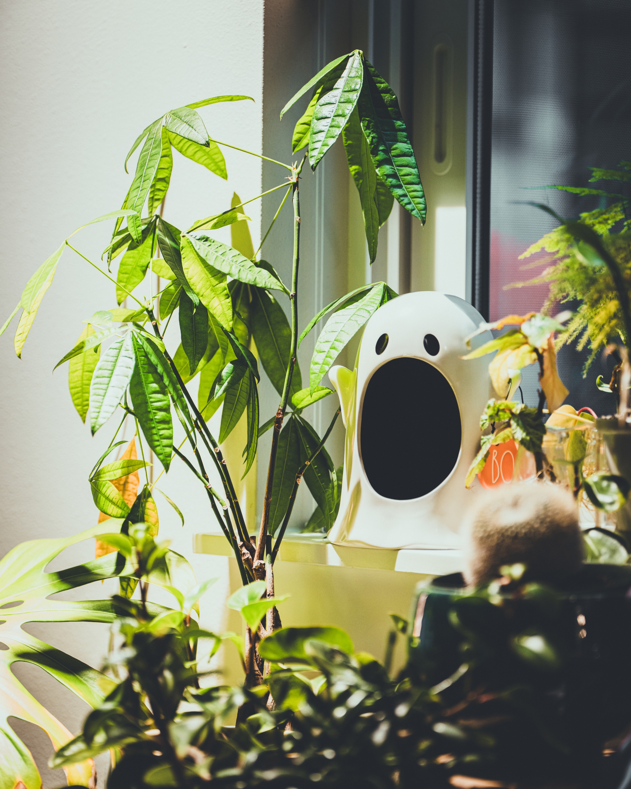 A white ghost-shaped planter among green plants on a windowsill
