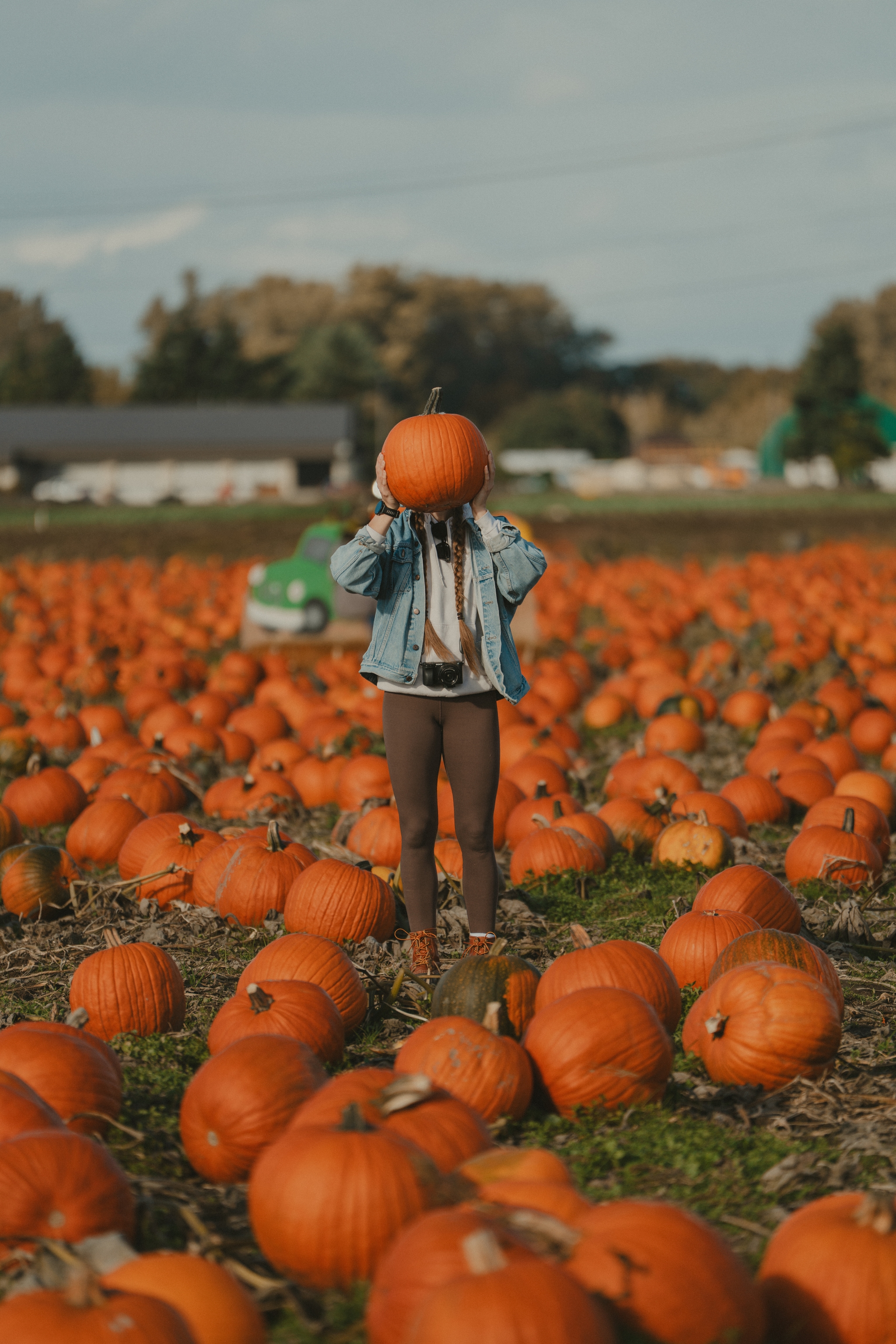Person in a pumpkin patch hiding their head with a pumpkin