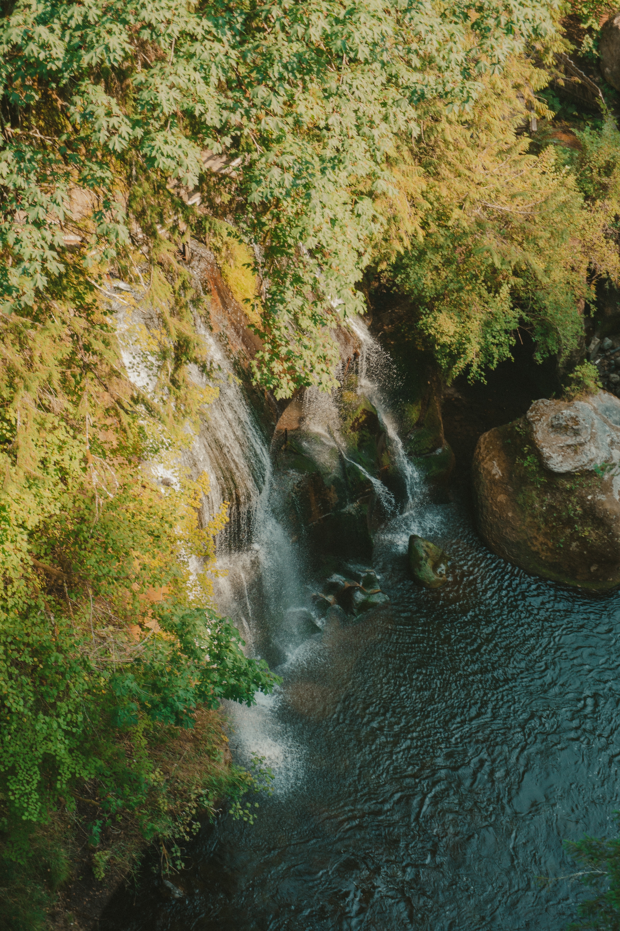 A small waterfall cascades into a serene pool surrounded by lush greenery