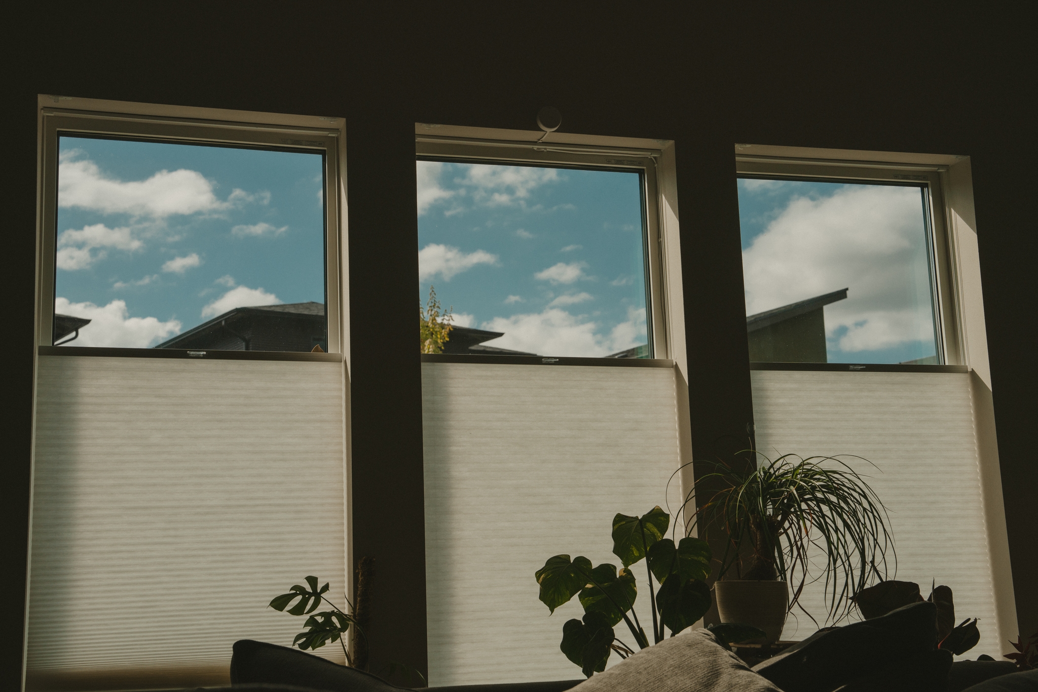 Three windows with partially closed blinds, revealing a view of a blue sky with clouds Indoor plants are silhouetted in the foreground
