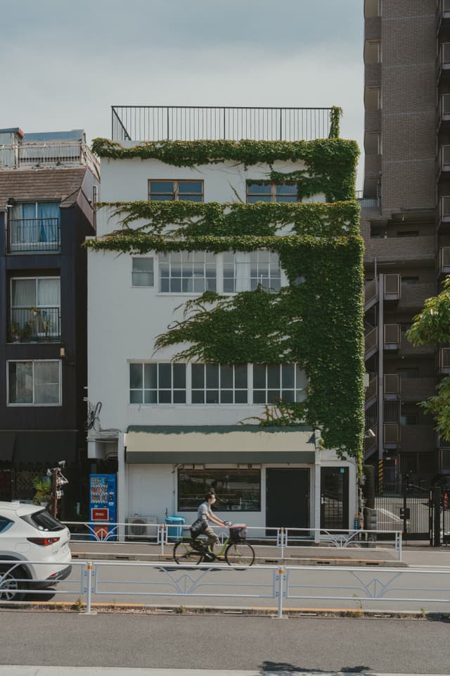 A multi-story building with a facade partially covered in green ivy, located on a street with a cyclist passing by in front
