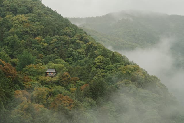 A small house nestled among lush, green forested hills with mist rolling through the valleys