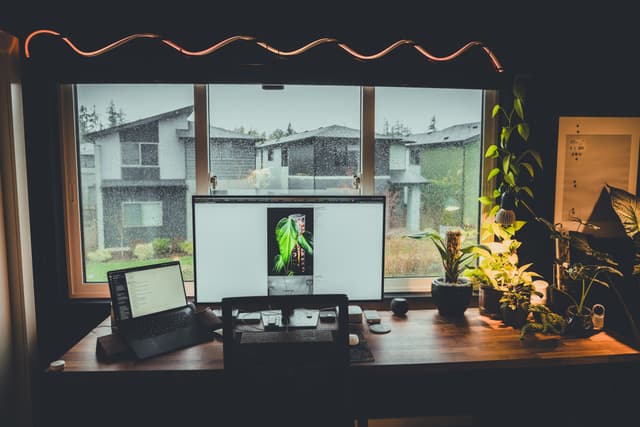 A home office setup with a large monitor displaying a green image, a laptop, and various plants on a wooden desk The window behind the desk reveals a view of houses, greenery, and rain outside