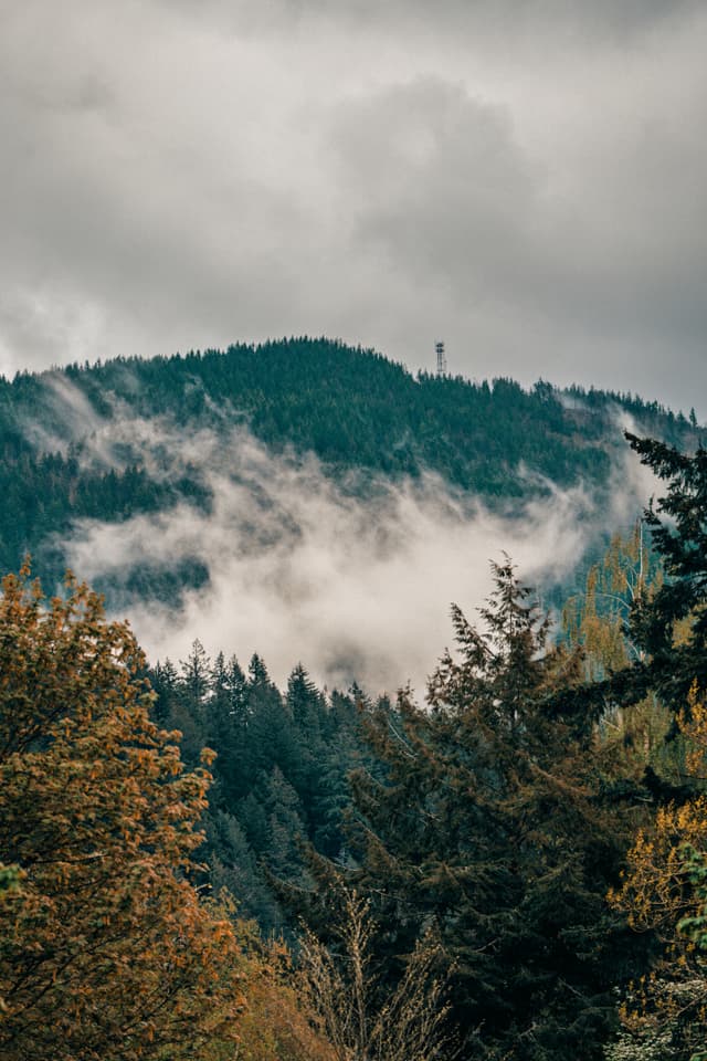 A misty mountain landscape with dense forest and low-hanging clouds under an overcast sky