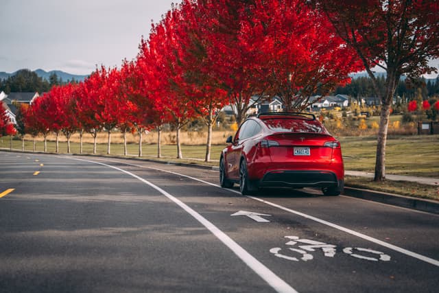 A red car parked beside a bike lane, next to a row of vibrant red-leafed trees on an overcast day