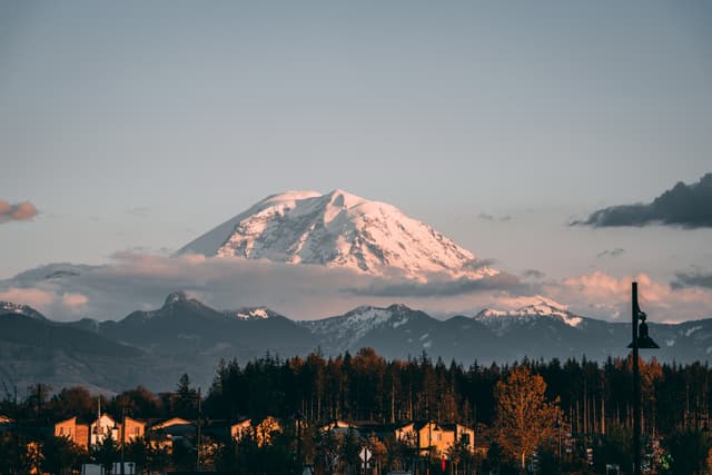 A snow-capped Mount Rainier under a clear sky, with a forest and buildings in the foreground