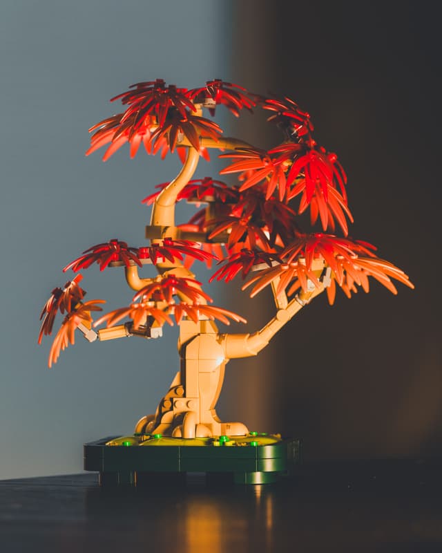 A LEGO bonsai tree with red leaves is displayed on a dark surface, illuminated by warm lighting