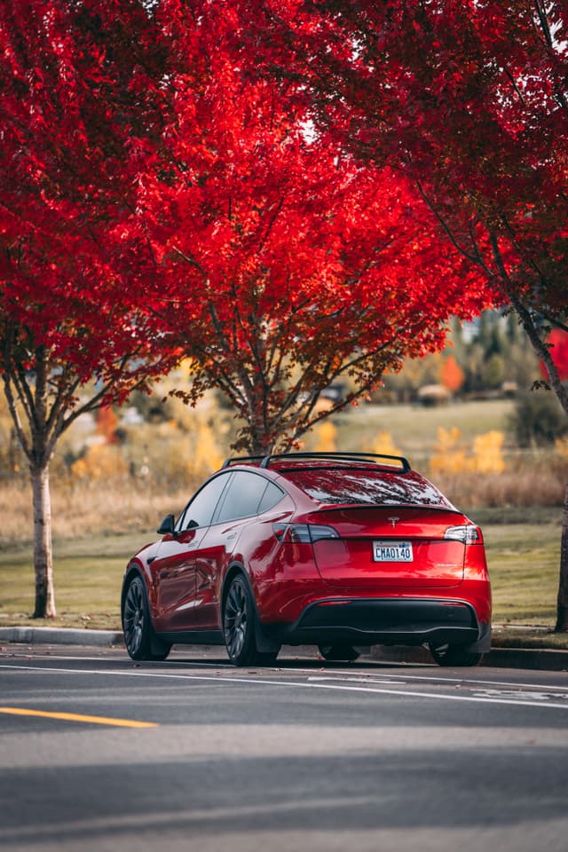 A red car parked under bright red trees with autumn foliage in the background