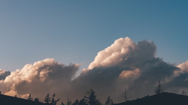 Billowing clouds hover gently over silhouetted tree line against a clear blue sky
