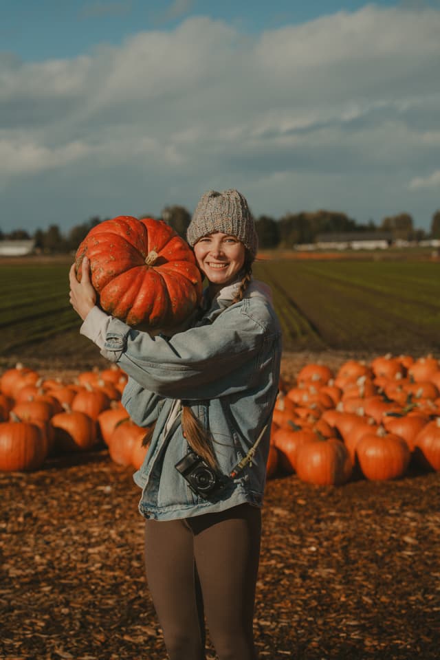 Person in a field holding a large pumpkin with more pumpkins scattered on the ground