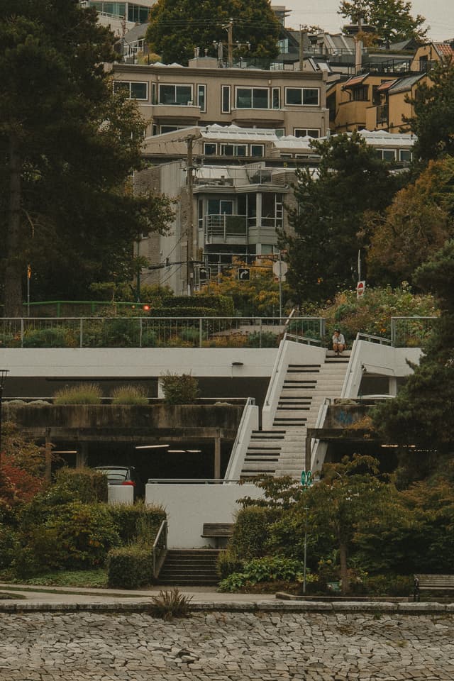 A residential area with multi-story houses surrounded by trees, a stairway leading up from a waterfront, and vegetation lining the path