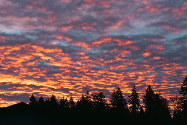 A vibrant sunrise with dramatic clouds silhouetting trees and a mountain