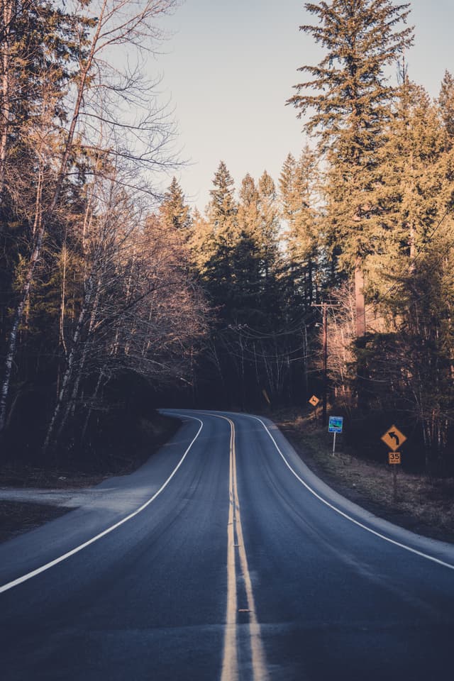 A winding road flanked by tall trees, with road signs visible, under a clear sky