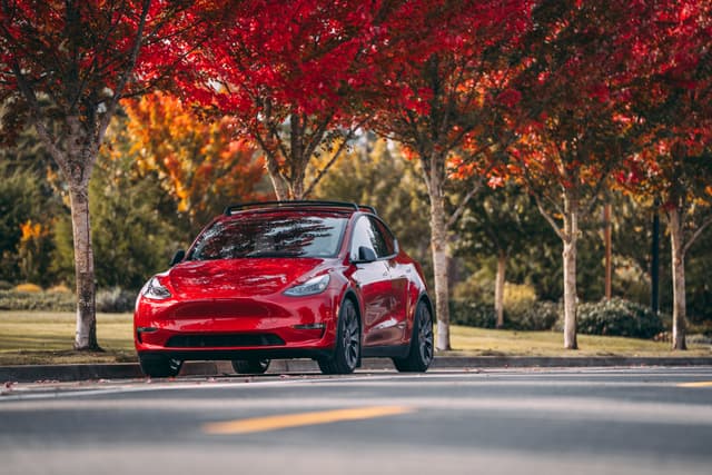 Red car parked under autumn-colored trees on a sunny day