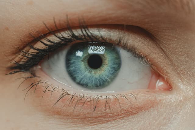 A close-up of a blue eye with detailed iris patterns and visible eyelashes