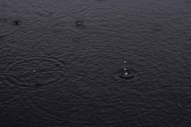 Raindrops creating ripples on a dark water surface