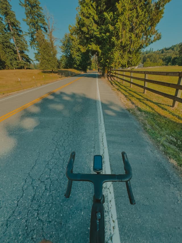 A bicycle handlebar view on a rural road with trees and a wooden fence lining the side, under a clear blue sky