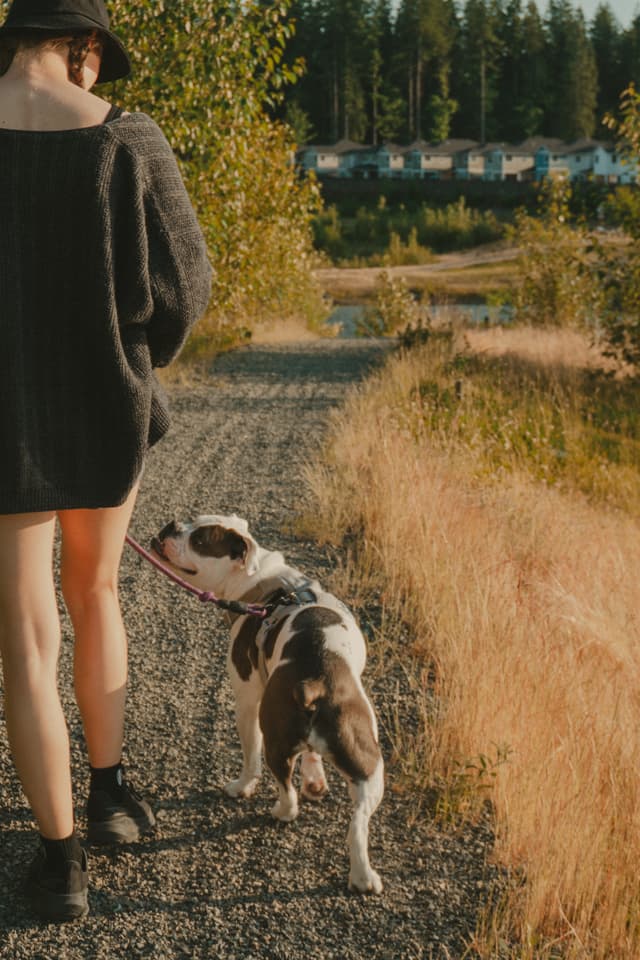 A person walking a black and white dog on a gravel path surrounded by grass and trees, with houses visible in the background