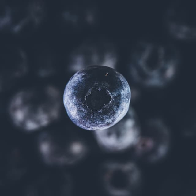 Close-up of a single blueberry with a blurred background
