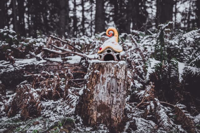 A whimsical, small house with a spiral roof sits atop a tree stump in a snowy forest setting