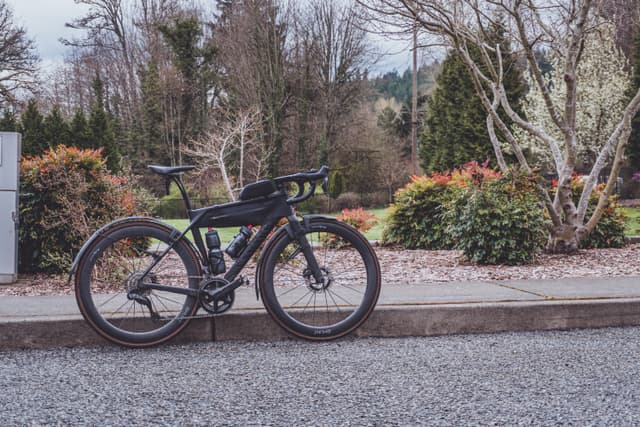 A sleek black Canyon Endurace bicycle is parked on a sidewalk, with a background of trees and shrubs in a park-like setting