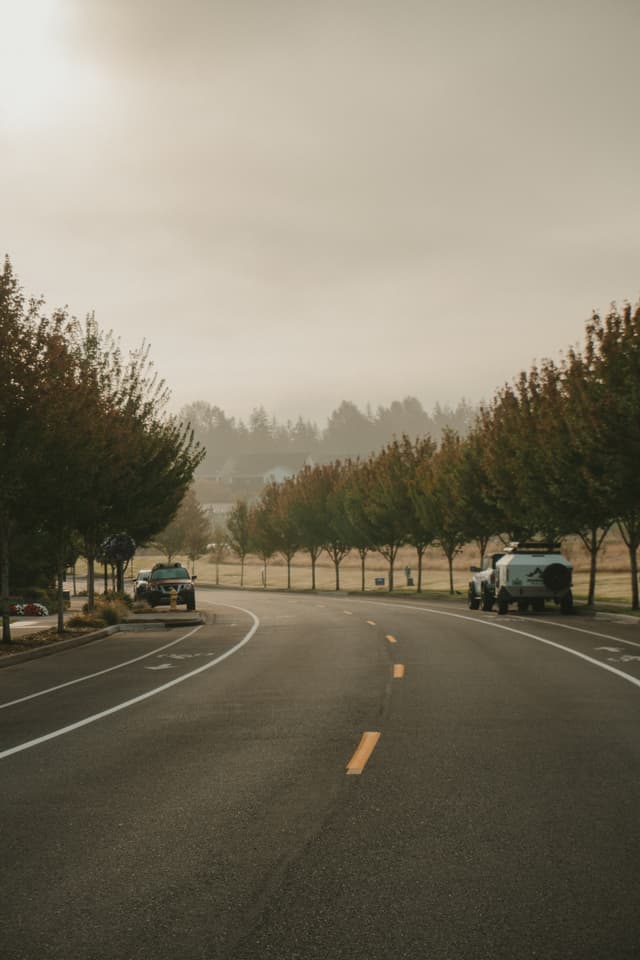 A curving road lined with trees under an overcast sky, with parked cars on the side