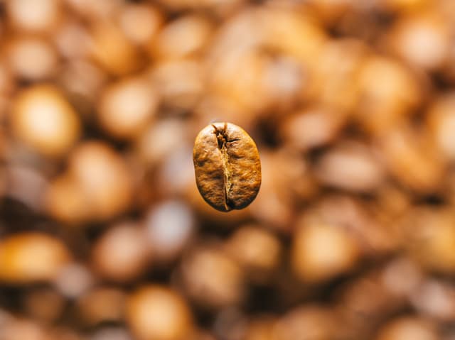 A single coffee bean in sharp focus against a blurred background of more coffee beans