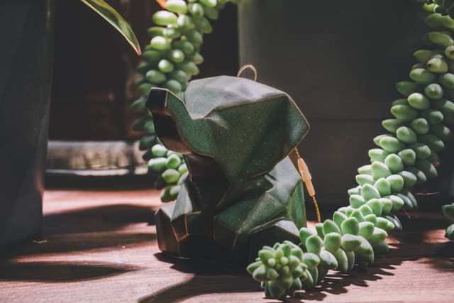 A small, ceramic elephant sculpture surrounded by lush, trailing succulent plants in a dimly lit setting