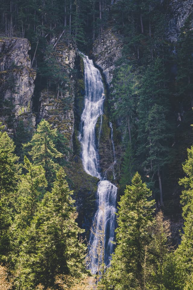 A tall waterfall cascading down a rocky cliff surrounded by dense green forest