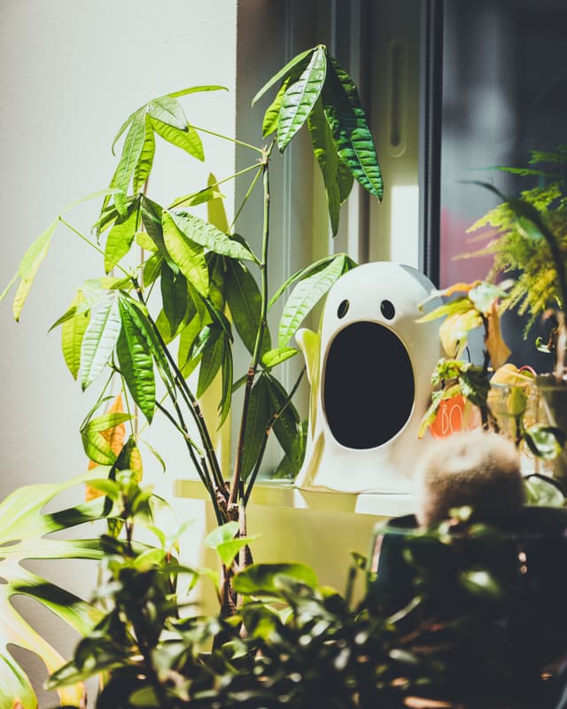 A white ghost-shaped planter among green plants on a windowsill